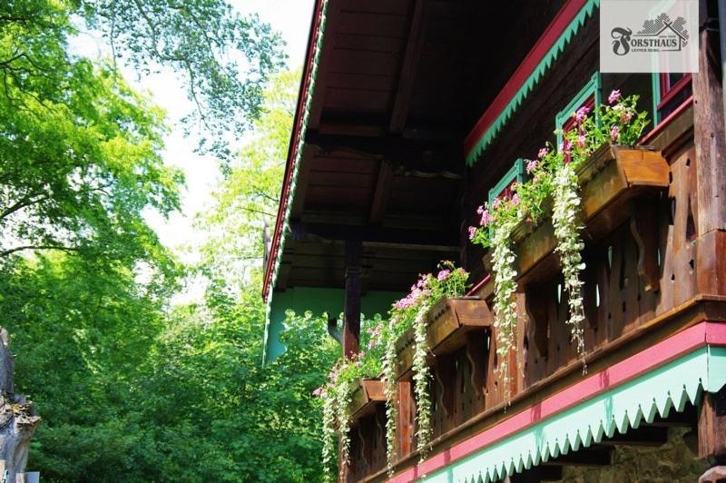 Hotel Forsthaus Leiner Berg Dessau-Rosslau Zewnętrze zdjęcie